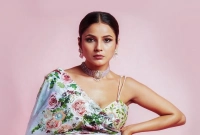 আজান শুরু হতে গান থামিয়ে মাথা নোয়ালেন শেহনাজ! যাতে মুসলিমদের প্রার্থনায় বিঘ্ন না ঘটে!