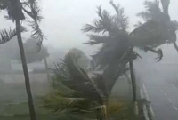 আকস্মিক কালবৈশাখী, নেত্রকোণায় ব্যাপক ক্ষতি