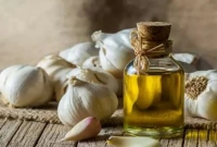 জানুন রসুনের তেলের ৭টি উপকার