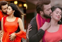 শাকিবকাণ্ড : ফেসবুকে কী ইঙ্গিত বুবলির