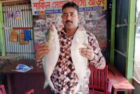 ৪ কেজির ইলিশ দুটি ১৭ হাজার টাকায় বিক্রি ৪ কেজির ইলিশ দুটি ১৭ হাজার টাকায় বিক্রি