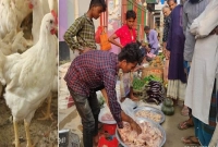 ১৫০ টাকা কেজি ব্রয়লার মুরগি! হুমড়ি খেয়ে পড়ছেন ক্রেতারা