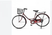 জানেন, কেন লেডিস সাইকেলের সামনে রড থাকে না?