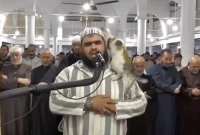 বিড়াল কাঁধে উঠা সেই ইমামের নামাজ কি সঠিক ছিলো?