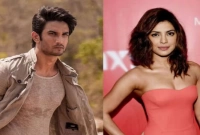 প্রিয়াঙ্কা চোপড়াও কি সুশান্তের মতো নিশানায় ছিলেন?