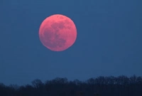 আজকের পূর্ণিমার চাঁদের নাম পিঙ্ক মুন