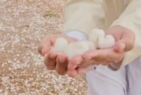 সৌদি আরবে ব্যাপক শিলাবৃষ্টিতে উচ্ছ্বসিত দেশটির বাসিন্দারা (ভিডিও)