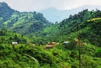 থেমে-থেমে-গোলাগুলি-