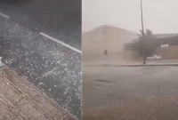 সৌদি আরবে ঘটলো এক বিরল ঘটনা!