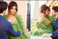 প্রিয়াঙ্কা চোপড়ার সৌন্দর্যে নিক আবারও মুগ্ধ 