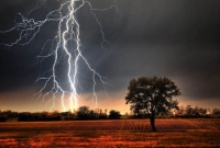 ধান ক্ষেতে বজ্রপাতে কৃষকের মৃত্যু