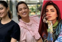 পলক মেনে নিতে পারেননি মায়ের অন্তঃসত্ত্বার খবর