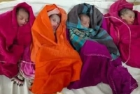 'একসঙ্গে ৪ সন্তানের জন্ম আমার জীবনে এই প্রথম দেখলাম'