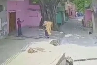 আগুনে পুড়ছিলেন বোন, না বাঁচিয়ে ভিডিও করলেন ভাই!