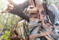 হঠাৎ কালবৈশাখীর তাণ্ডব, লন্ডভন্ড শত শত বাড়িঘর