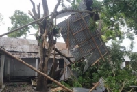 তিন মিনিটের ঘূর্ণিঝড়ে ১৫ গ্রামের ১২ শতাধিক ঘরবাড়ি বিধ্বস্ত, সবকিছু লণ্ডভণ্ড
