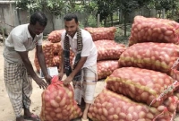 আমের কেজি ৫ টাকা! আমের কেজি ৫ টাকা!