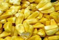 কাঁঠালের কিছু উল্লেখযোগ্য উপকারিতা