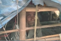 জঙ্গলে বসবাস ১৬ বছর ধরে! কারণ জানলে অবাক হবেন!