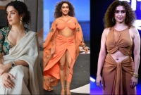 কোনও চরিত্র বা ছবিকে ছোট করে দেখি না: সান্যা