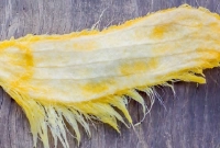 আমের আঁটির গুণাগুণ জানলে অবাক হবেন 