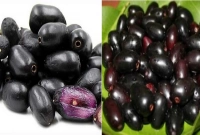 জাম খাওয়ার যত উপকারিতা!