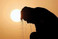 গরমের কষ্ট সইতে না পেরে লুঙ্গি পরে অফিস করার অনুমতি চেয়ে আবেদন