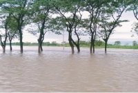  ভয়াবহ বন্যার আশঙ্কা সিলেটে, বেড়িবাঁধে ভাঙন, নিম্নাঞ্চল প্লাবিত 