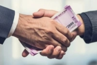 আপনার জন্য সেরা ছোট ব্যবসার আইডিয়া 