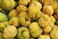 ডেউয়া ফলের উপকারিতা