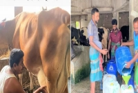 দৈনিক ১২০ টাকা মজুরির চাকরি ছেড়ে এখন মাসে আয় ৭ লাখ!