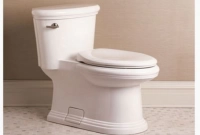 অনেকেই জানেন না কমোড ব্যবহারের আসল নিয়ম