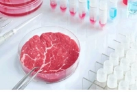 এবার যে দেশে বিক্রি হবে ল্যাবে তৈরি মাংস!