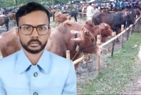 এজন্যই আমার নামে তারা গরুর নাম রাখে: হিরো আলম