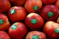 ফলের গায়ে এই 'স্টিকার' এর মানে কি জানেন?