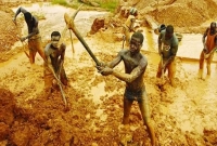 কত সোনা আছে পৃথিবীর পেটে? যা জানাল ডিসকোভার