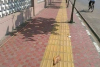 রাস্তার ফুটপাতে হলুদ লাইন কেন দেওয়া হয়, জানেন না অনেকেই