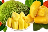 যাদের কাঁঠাল খাওয়া উচিত নয়