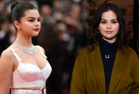 সম্পর্কের শেষরক্ষা হল না, সেলিনা গোমেজ়ের কাণ্ড দেখে ধোঁয়াশা!