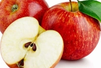 রোজ দুইটি আপেল খেলে কী হবে জানেন?