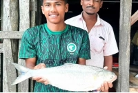 ৭ হাজার ১০০ টাকায় বিক্রি হলো ইলিশ মাছটি