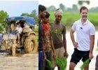 রাহুল গান্ধী নিজেই নেমে পড়েন চাষ করতে, চালান ট্র্যাক্টরও!