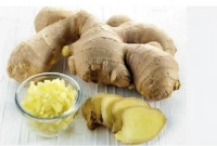 আদা খাওয়ার ৭ উপকারিতা