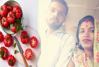 রান্নায় টমেটো দিয়েছিলেন স্বামী, রাগে বাড়ি ছেড়েই চলে গেলেন স্ত্রী!