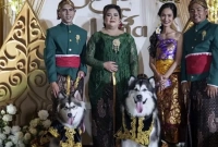 ১৩,৩৫০ ডলার খরচ করে কুকুরের জন্য বিয়ের আয়োজন