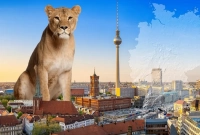 রাজপথে ঘুরে বেড়াচ্ছে সিংহ, আতঙ্কিত রাজধানীবাসী! 