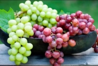 জানেন, কোন রঙের আঙুর বেশি উপকারী?