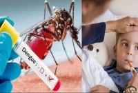 অবশেষে যখন বাজারে আসছে ডেঙ্গুর ভ্যাকসিন