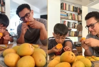 কারও কারও জন্য আম বিপজ্জনক, আছে পার্শ্ব-প্রতিক্রিয়া