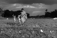 গত ১০০ বছরের বিশ্ব সেরা চলচ্চিত্রের তালিকায় বাংলা সিনেমা